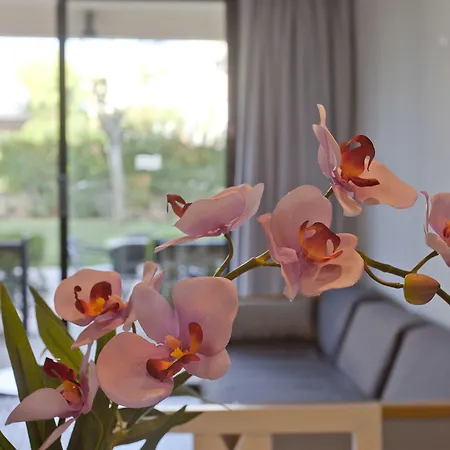 Lägenhetshotell Bahia Pollensa Port de Pollença