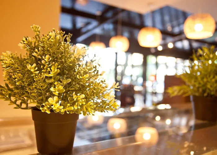 公寓式酒店 Eu Bahia Pollenca 波连萨港