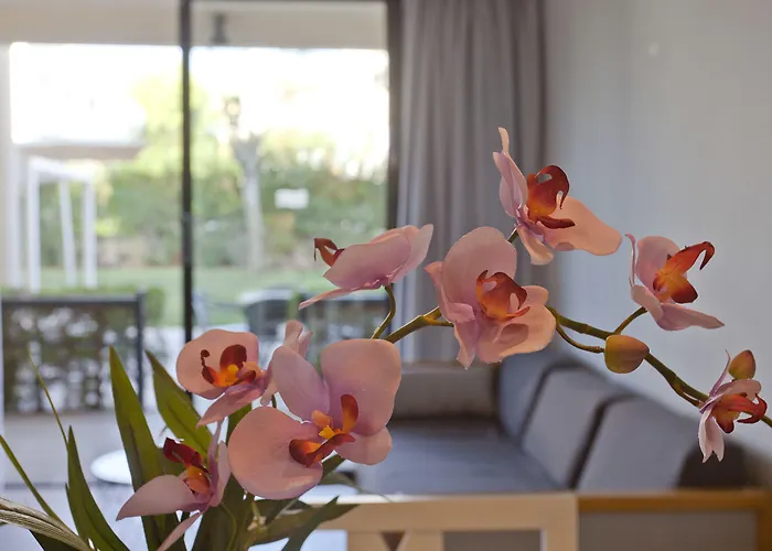 公寓式酒店 Eu Bahia Pollenca 波连萨港